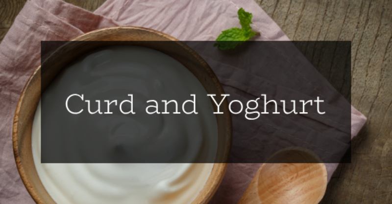 Curd and Yoghurt